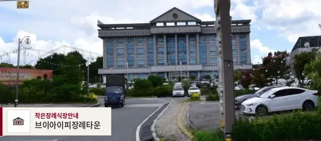 브이아이피장례타운, 사진 1