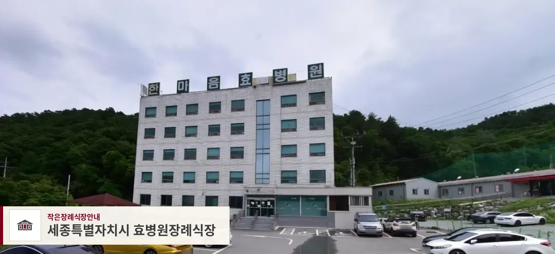 세종특별자치시 효병원장례식장, 사진 1